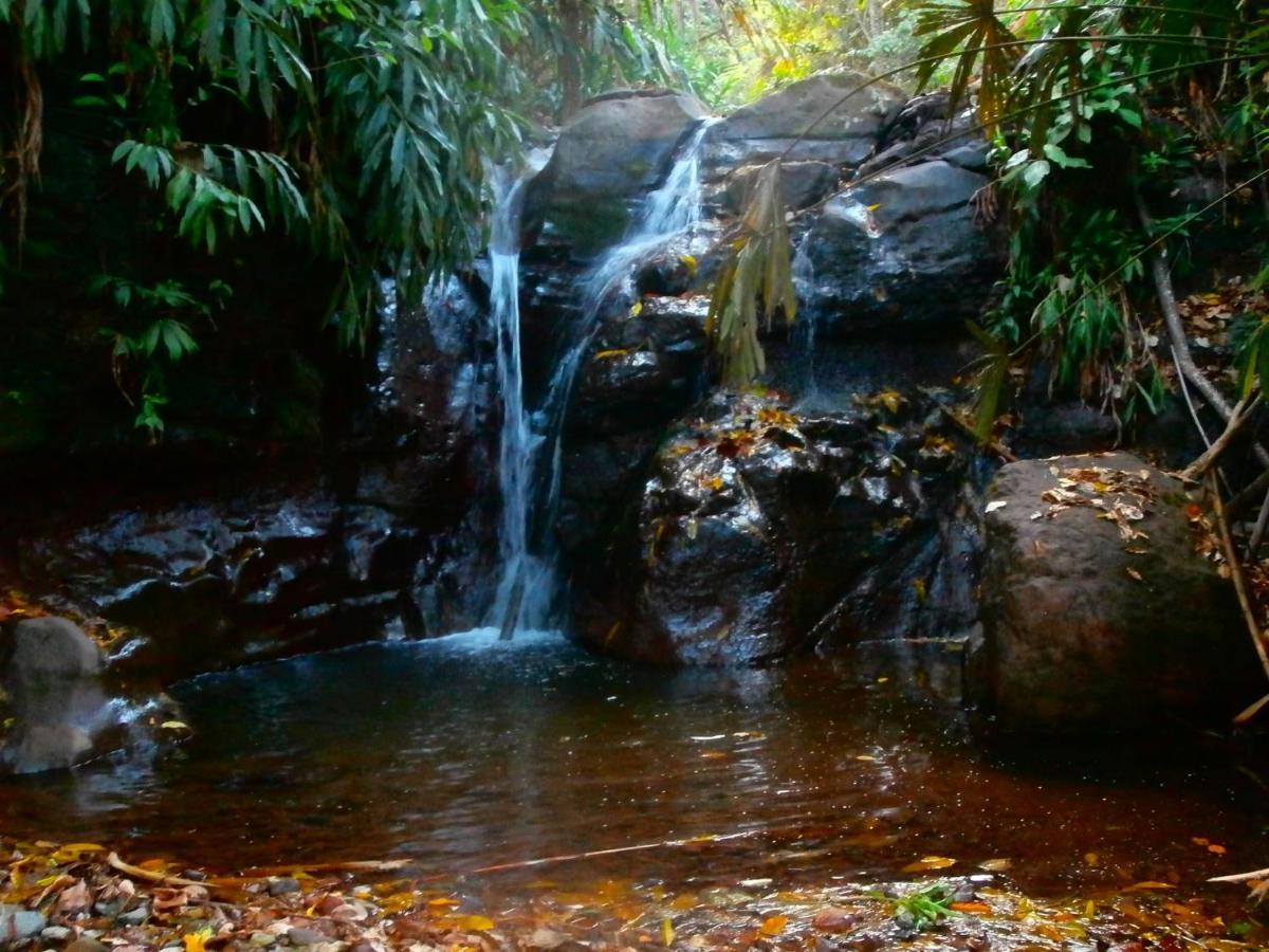 Jaibana Spa Támesis Dış mekan fotoğraf